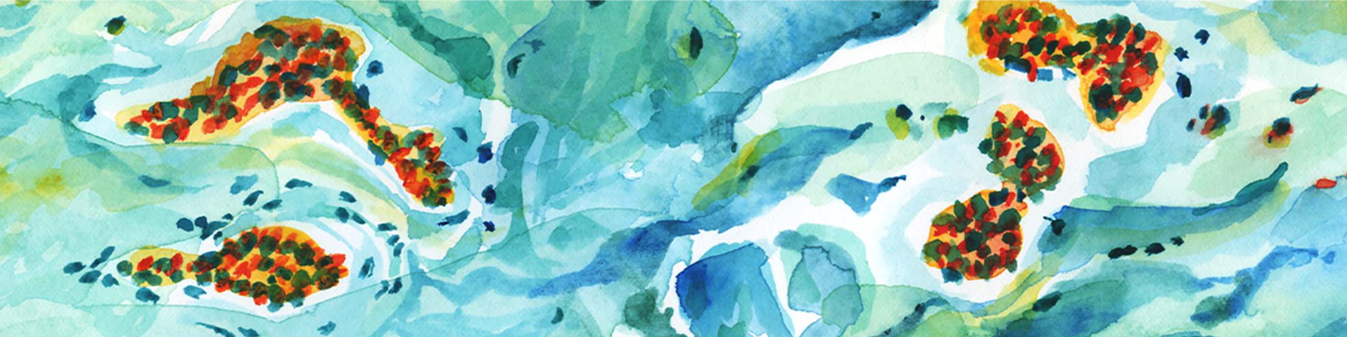 Charlotte, NC dermatology office